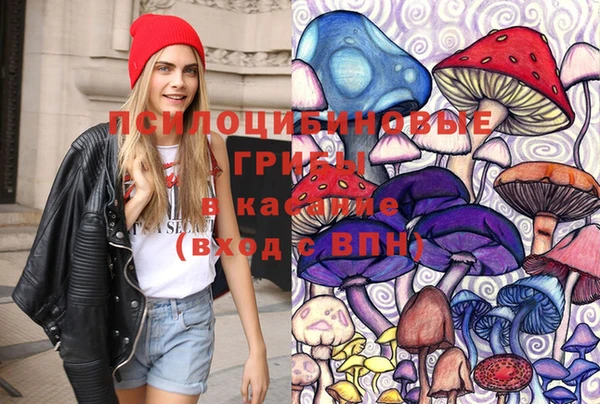 2c-b Верхний Тагил