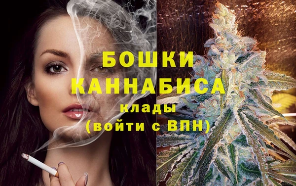 прущий лед Вяземский