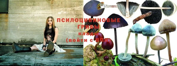 ECSTASY Вязьма