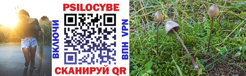 Псилоцибиновые грибы MAGIC MUSHROOMS  Иннополис 