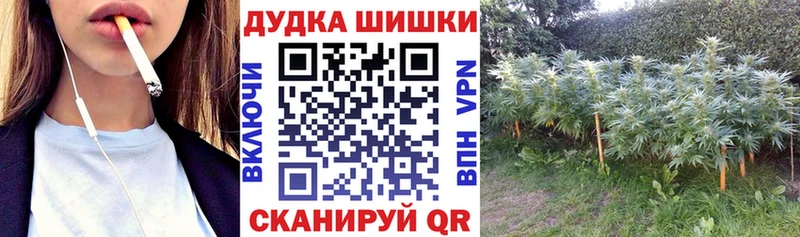 Шишки марихуана конопля  Иннополис 